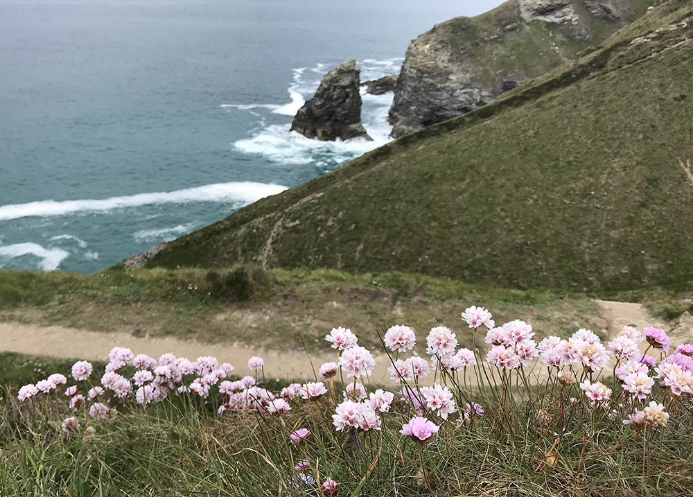 South-west Coast Path 011