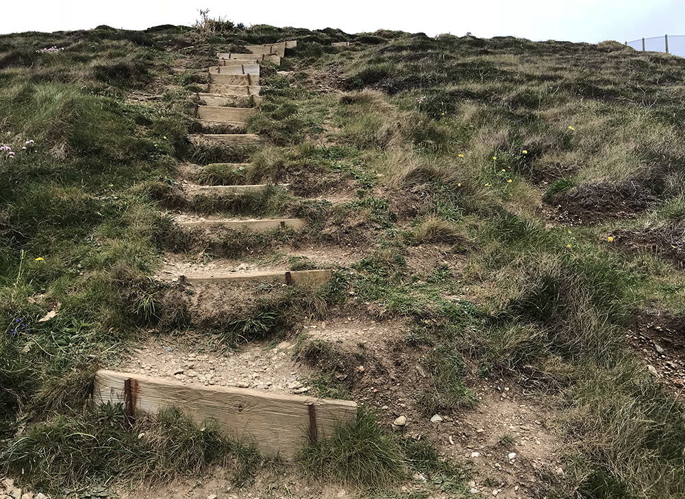 South-west Coast Path 010