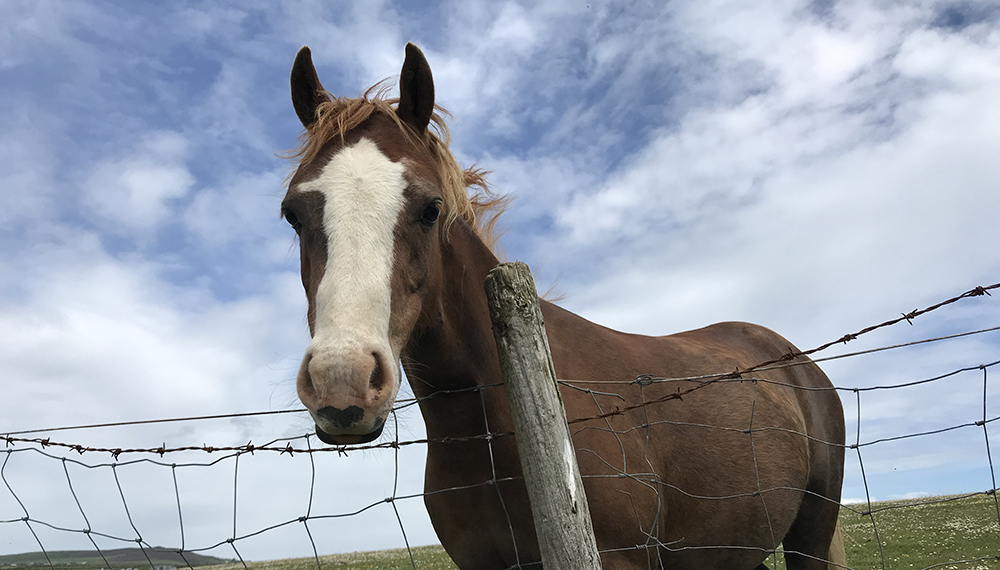South-west Coast Path 004